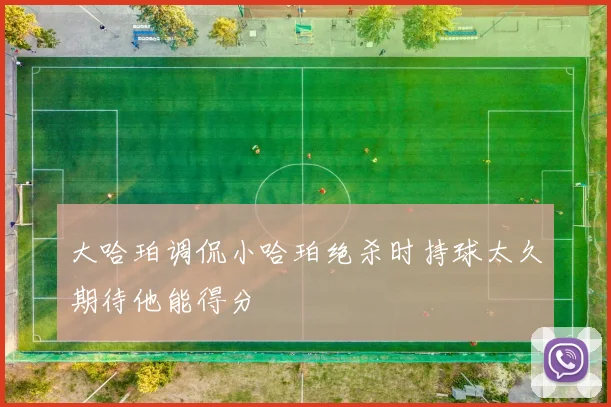 大哈珀调侃小哈珀绝杀时持球太久期待他能得分