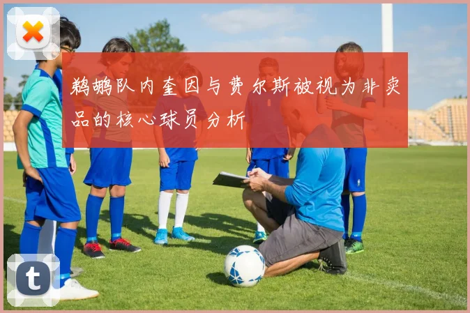 鹈鹕队内奎因与费尔斯被视为非卖品的核心球员分析