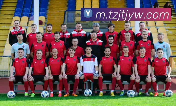 App Interface Preview