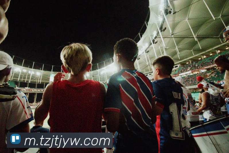 开云体育APP 封面图